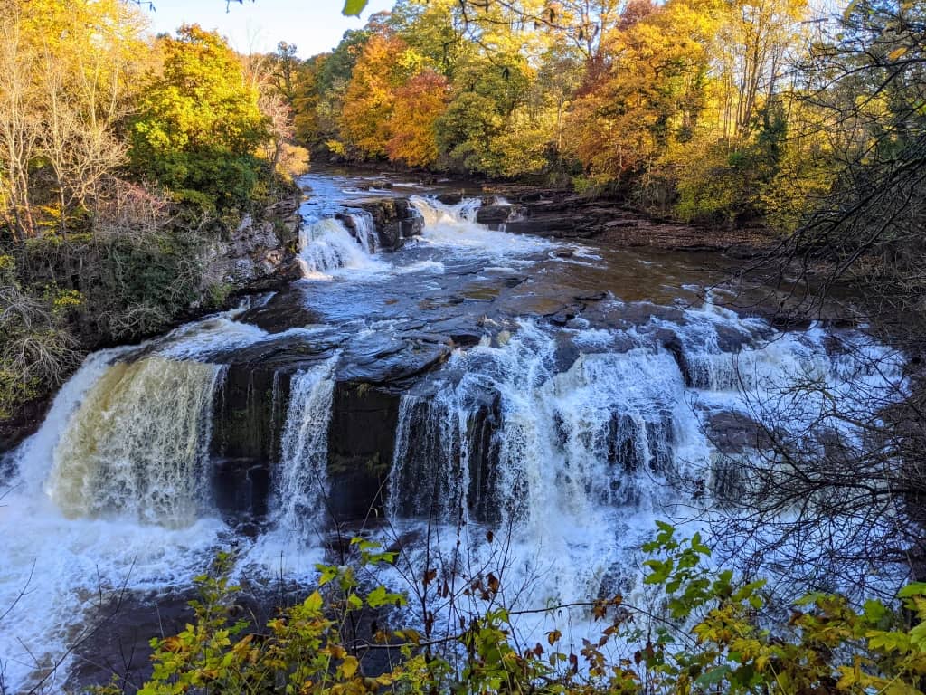 Falls of Clyde Walk