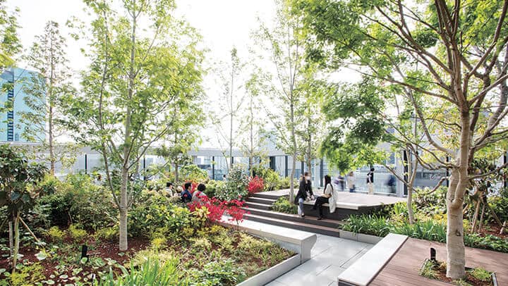 Tranquil Garden Oasis