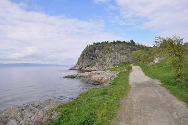Trondheim's Fjords and Trails