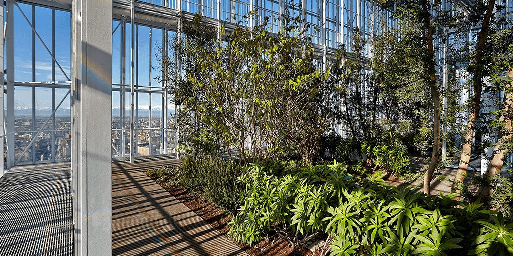 Rooftop Garden