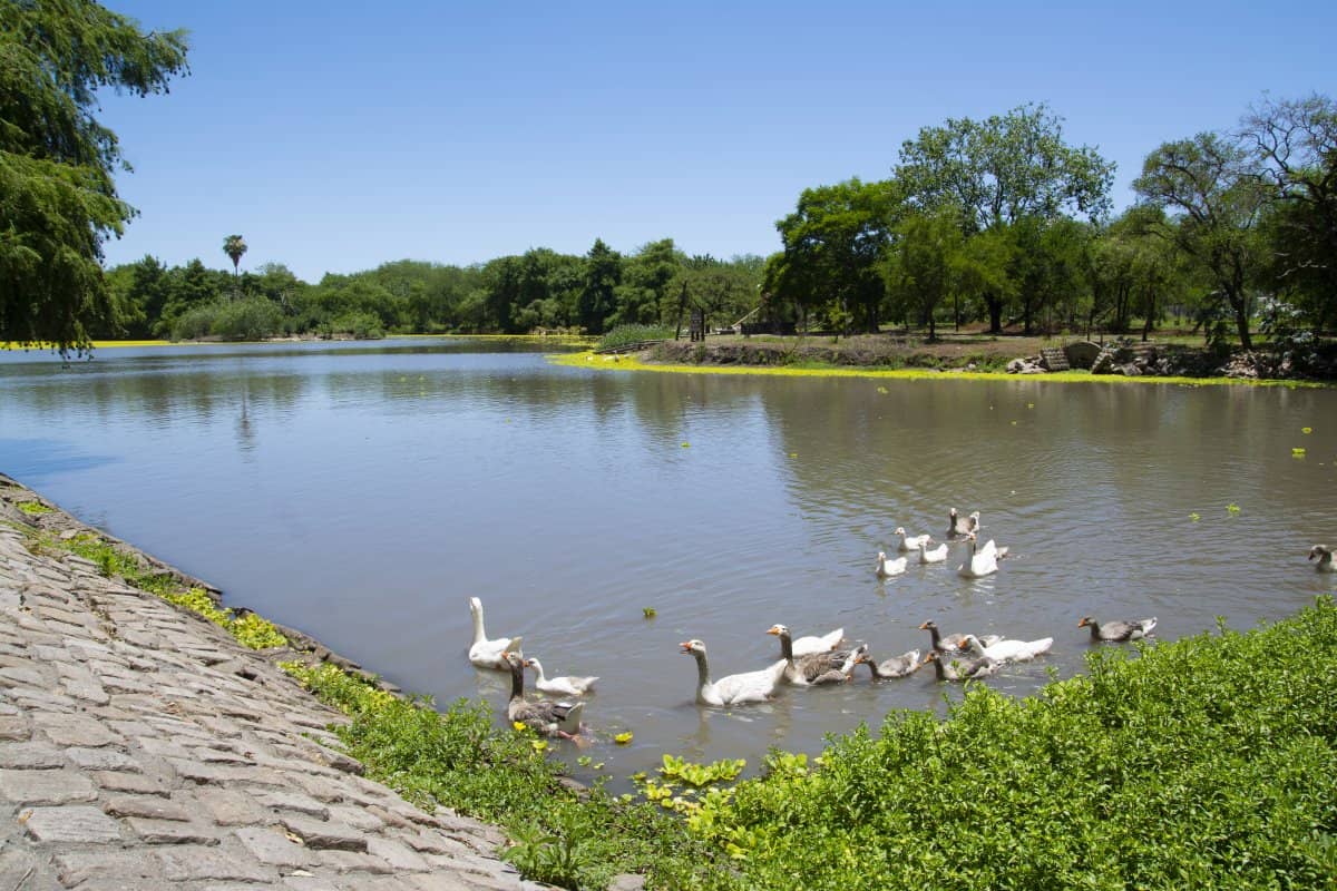 Park and River Views