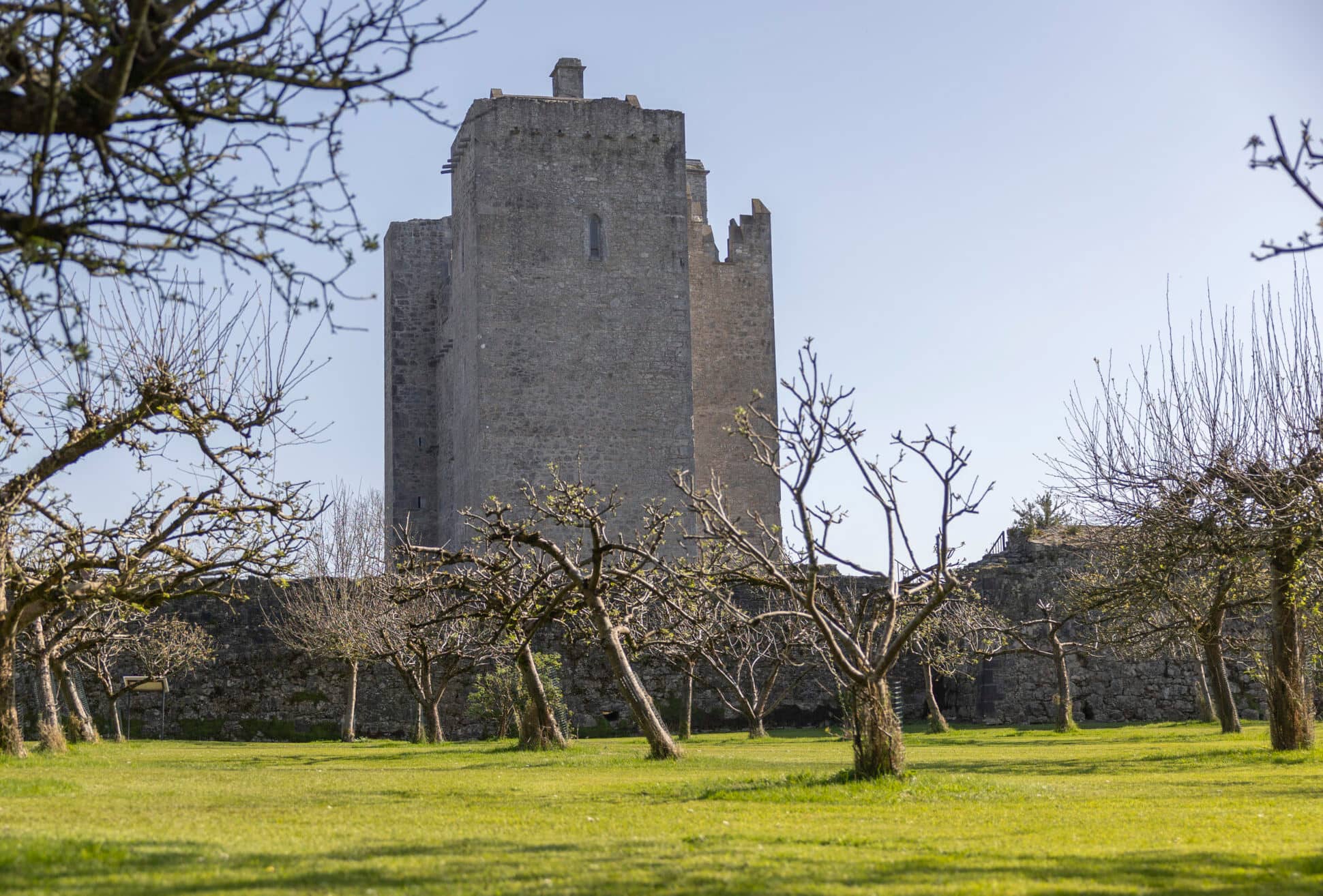Fledgling Orchard Garden