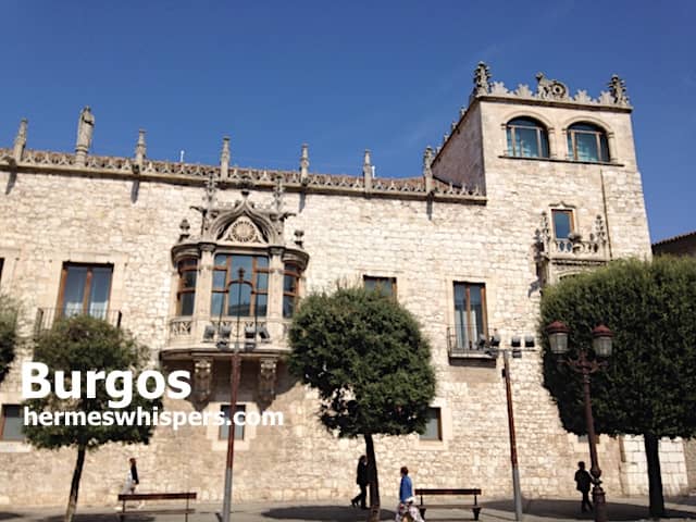 Art Gallery & Terrace