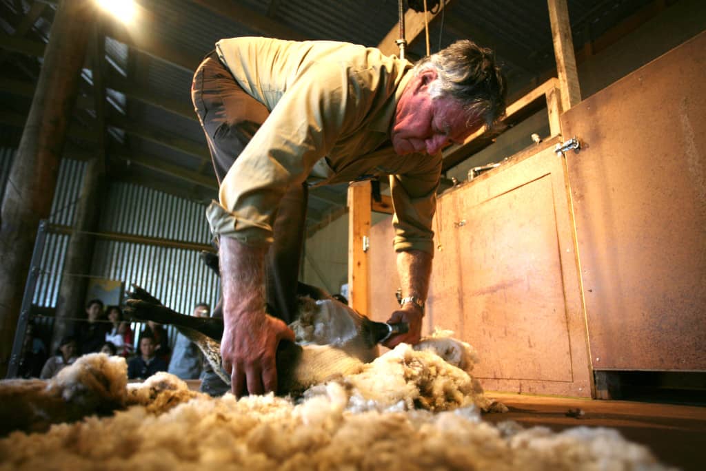 Farm Animal Demonstrations