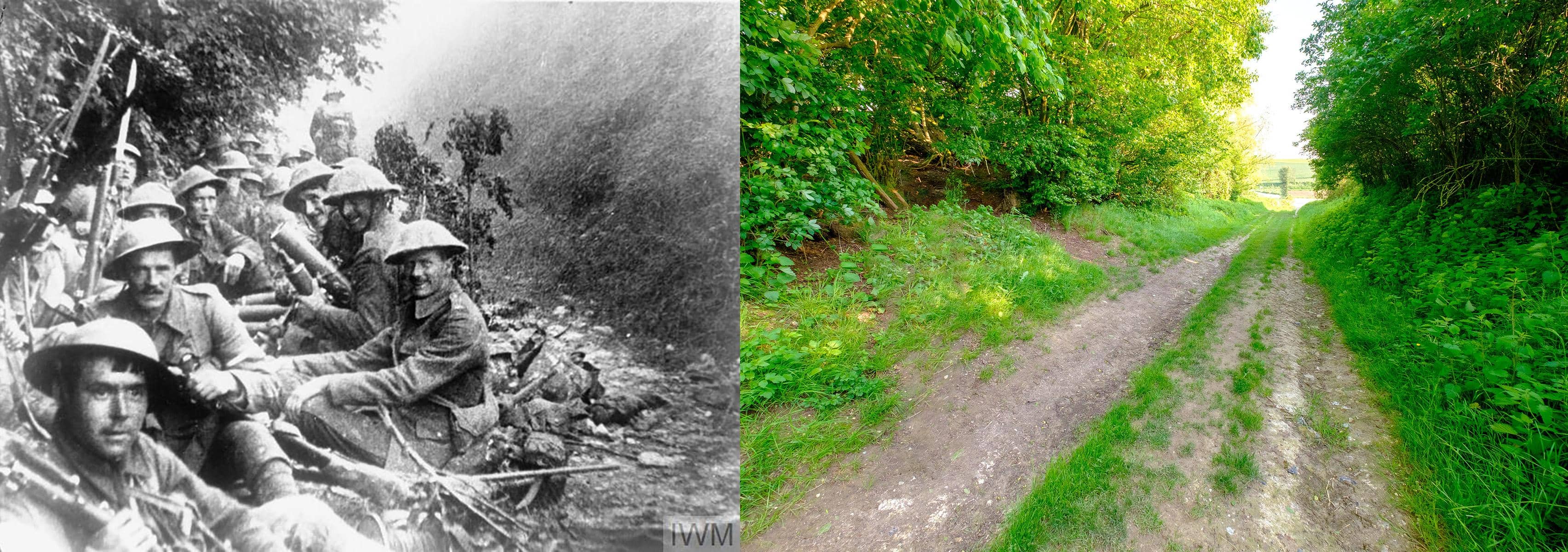 Sunken Lane