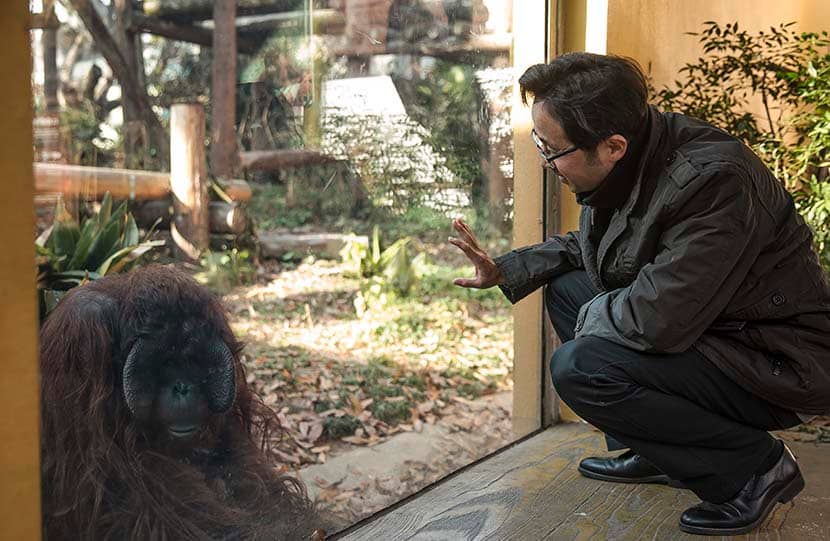 Orangutan Enrichment