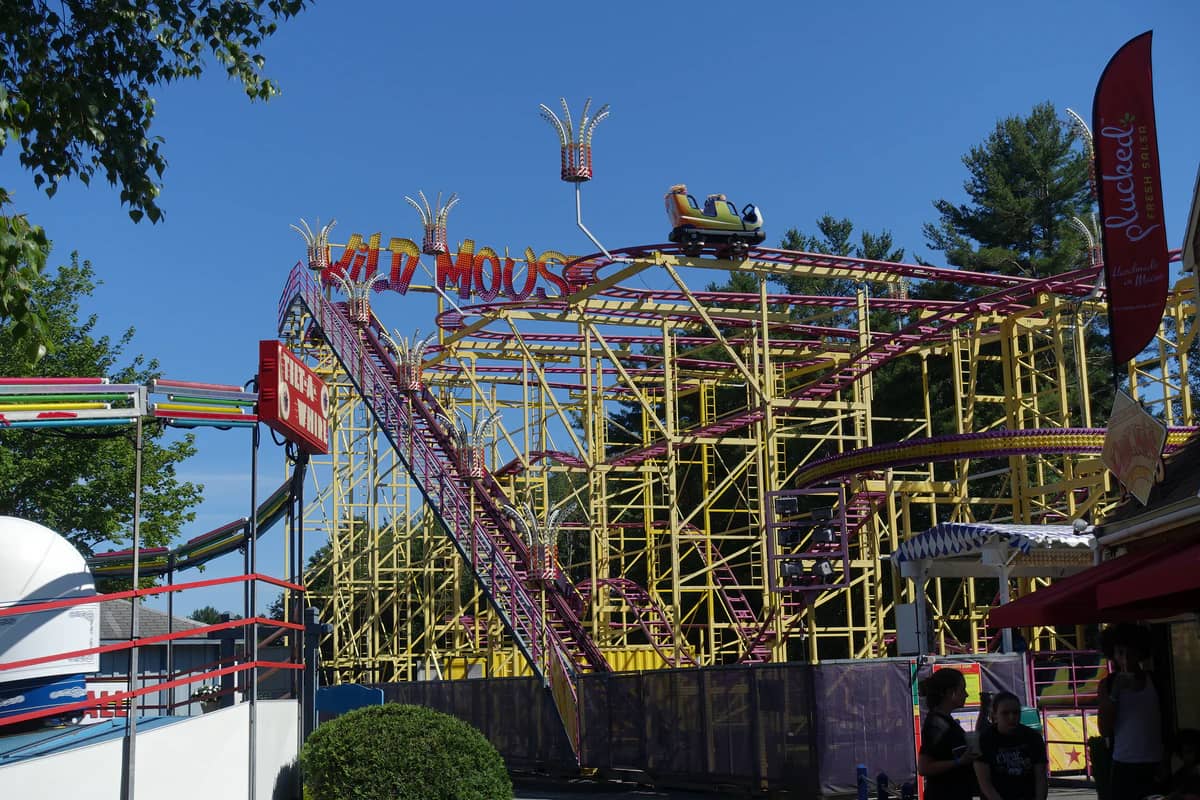 Wild Mouse
