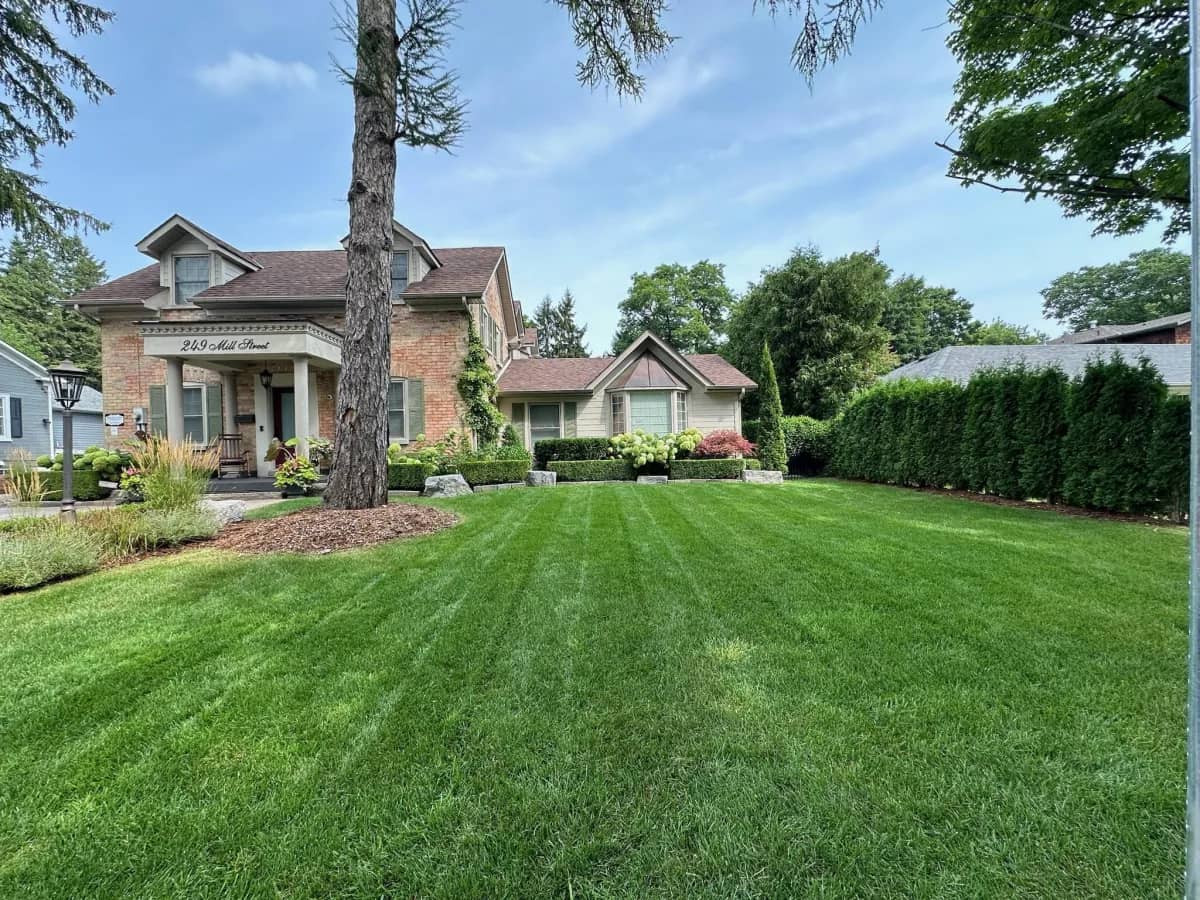 Lush Lawns & Mature Trees