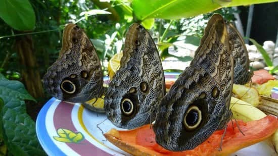 Fascinating Life Cycle Education