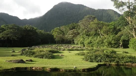 Botanical Garden Beauty