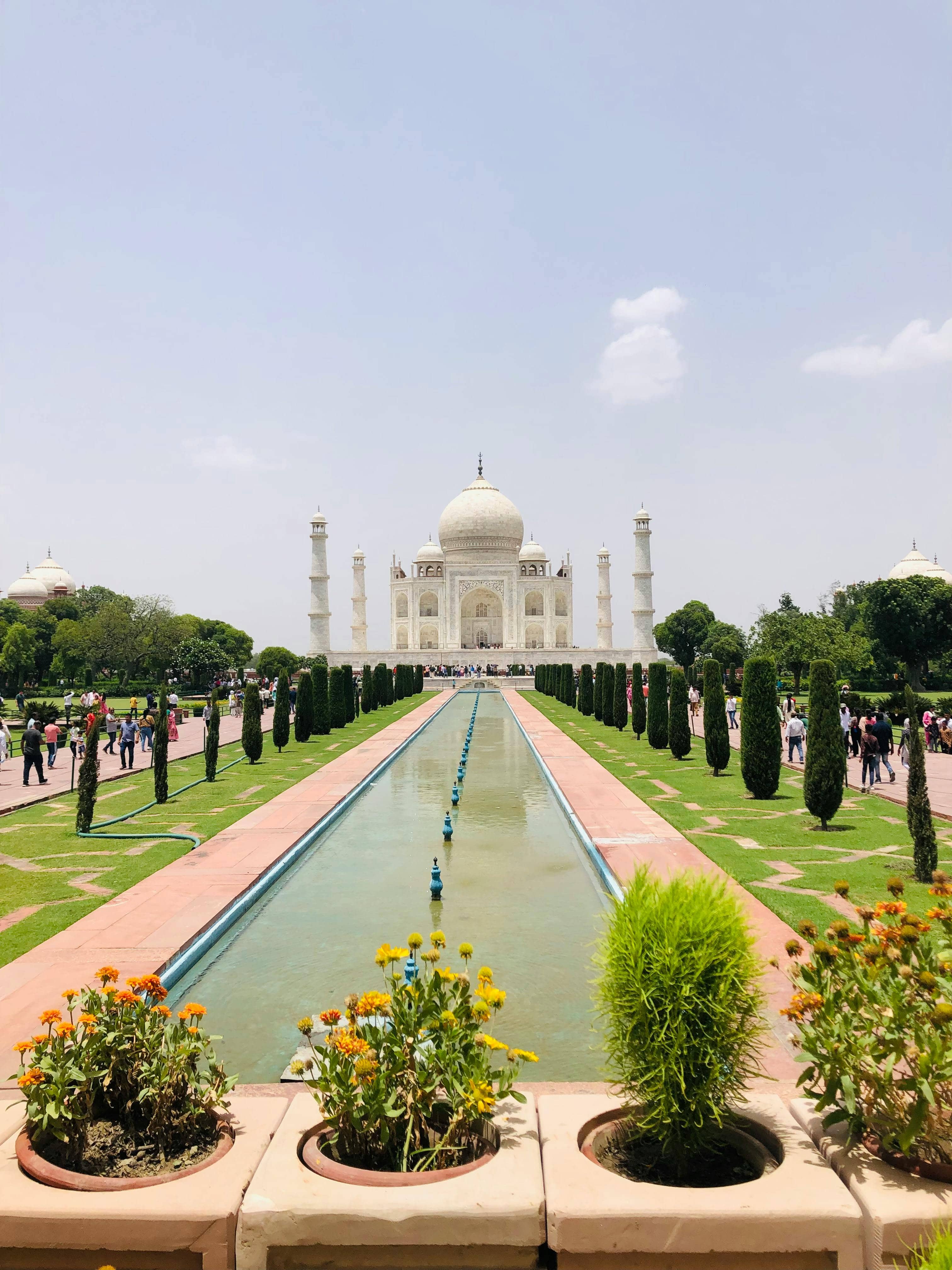 Symmetrical Gardens