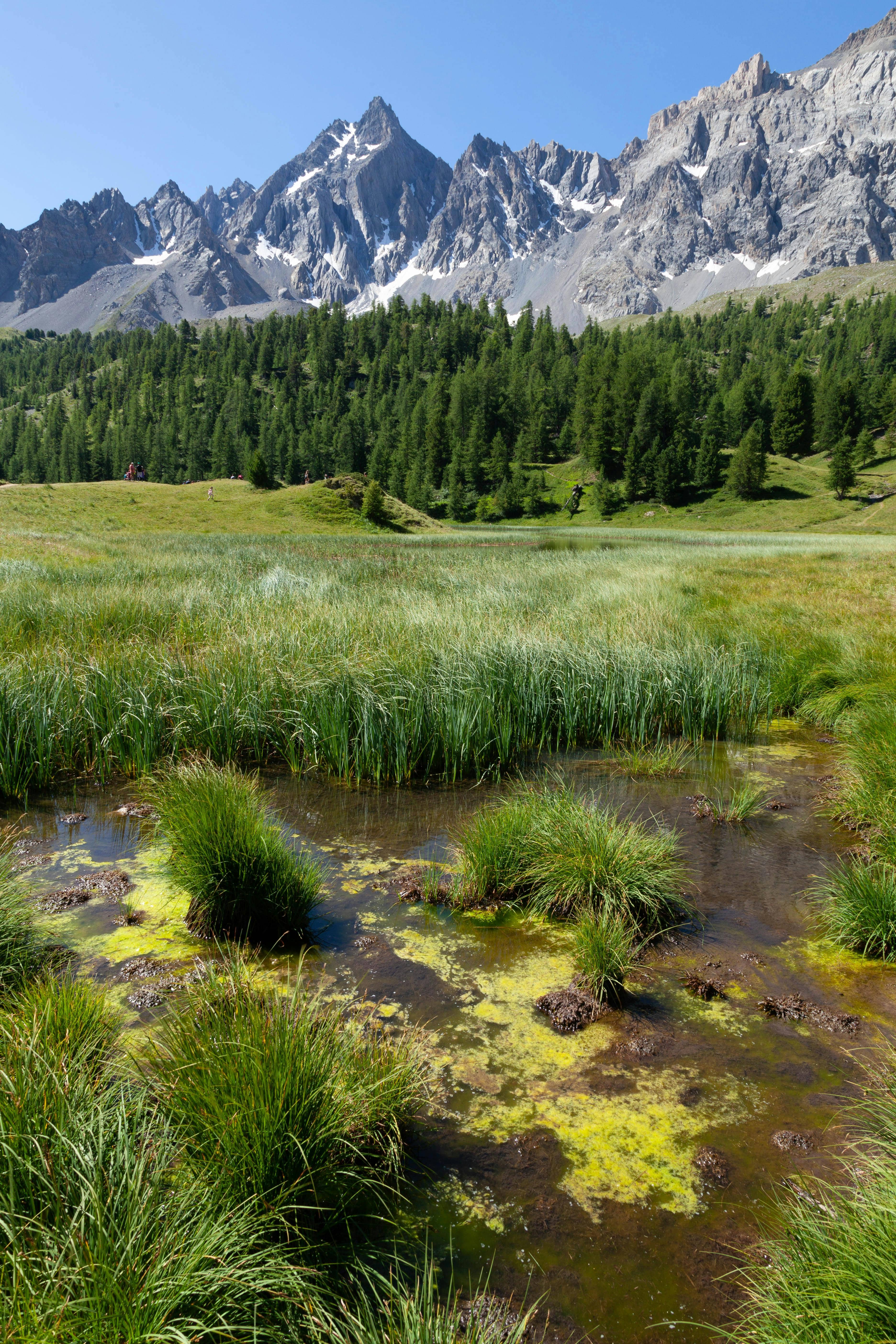 Côte Bleue Regional Natural Park