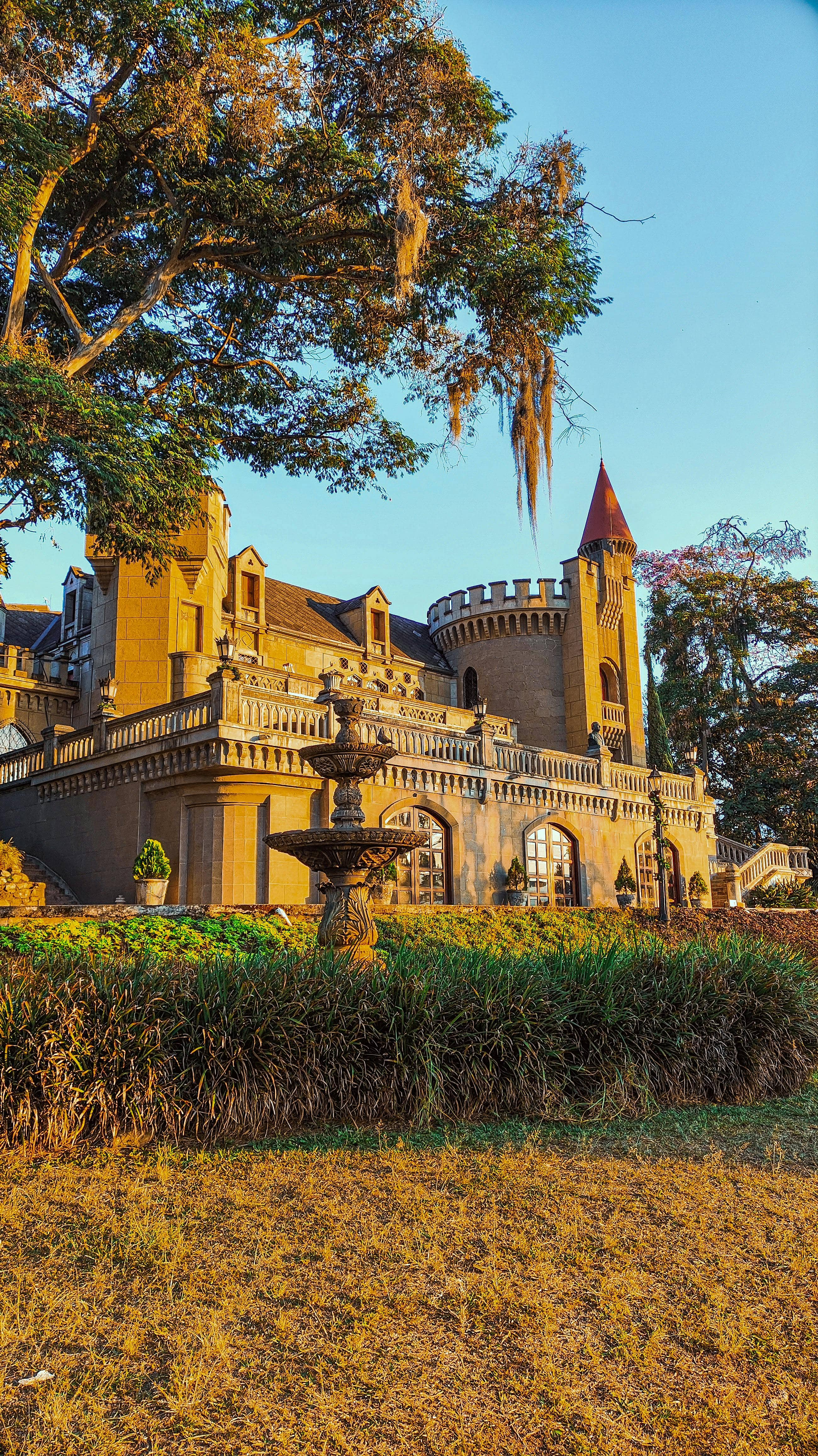 Lush Botanical Gardens