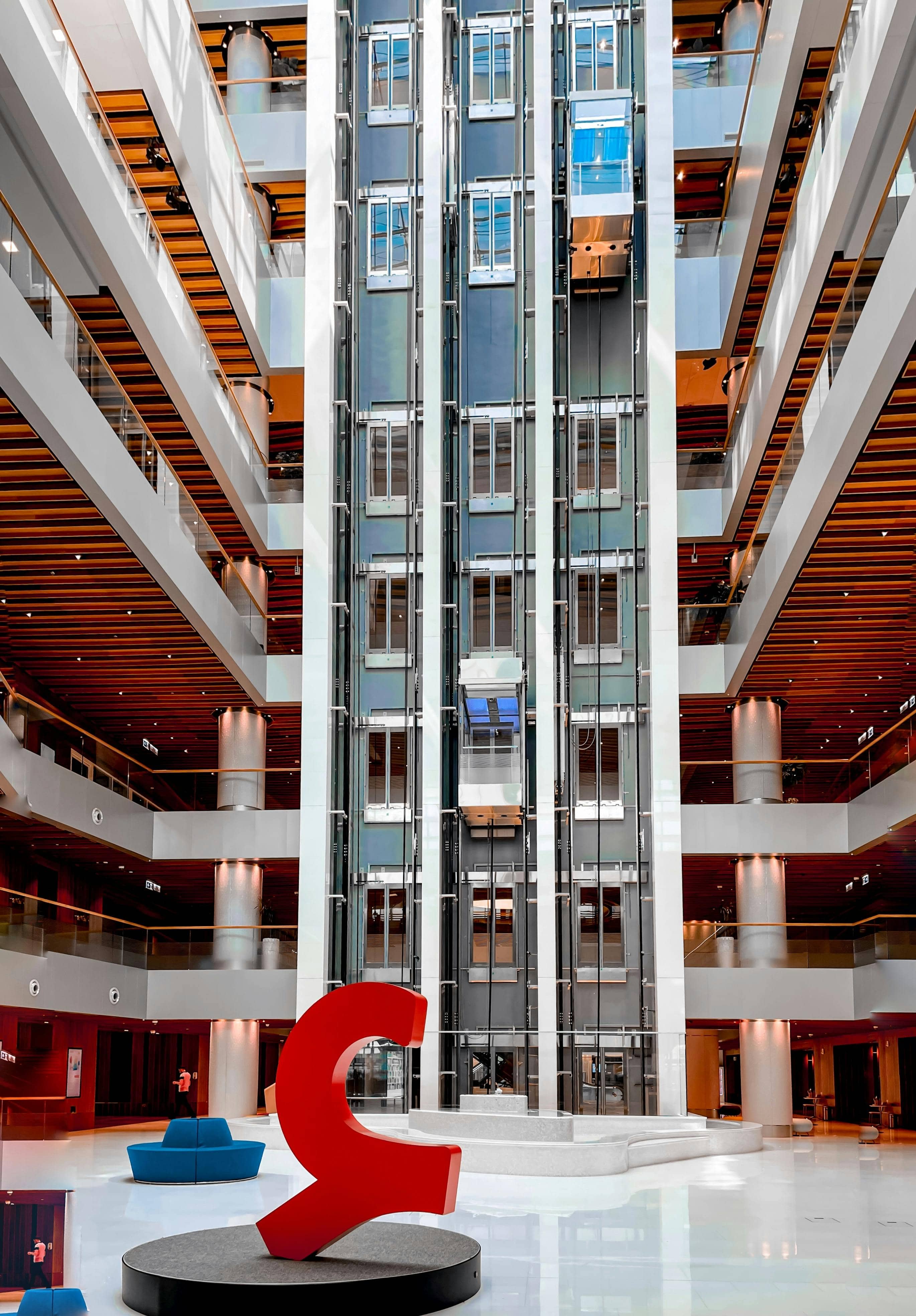 Vast Book Collection