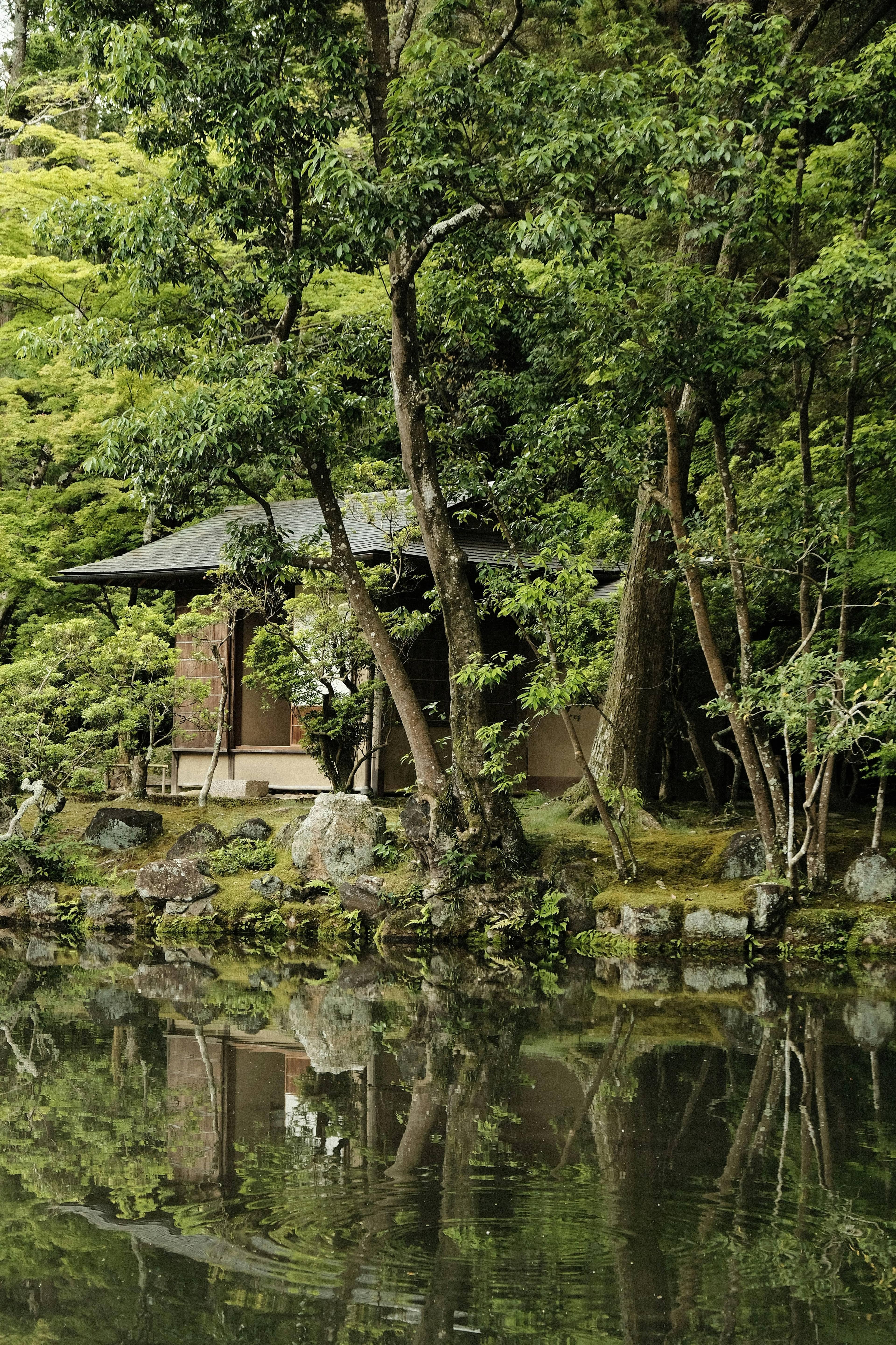 Maple Branch Brewery