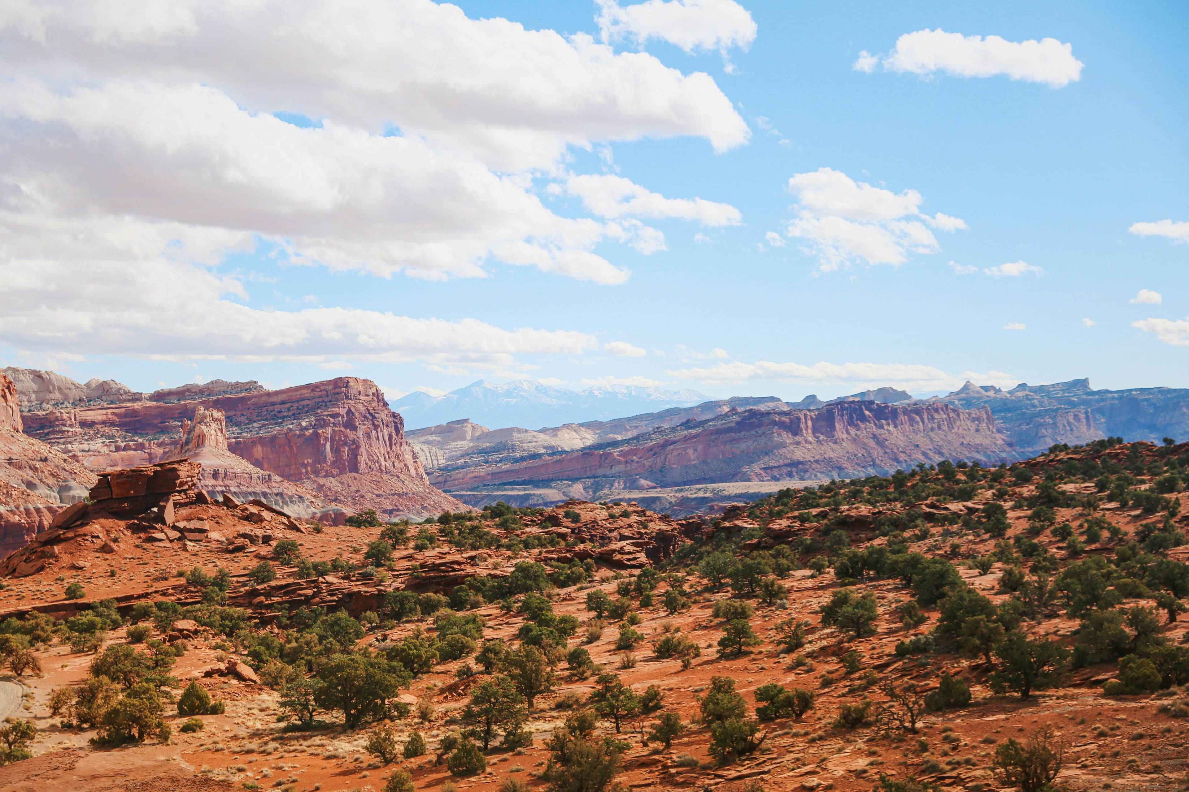 Visitor Center Views