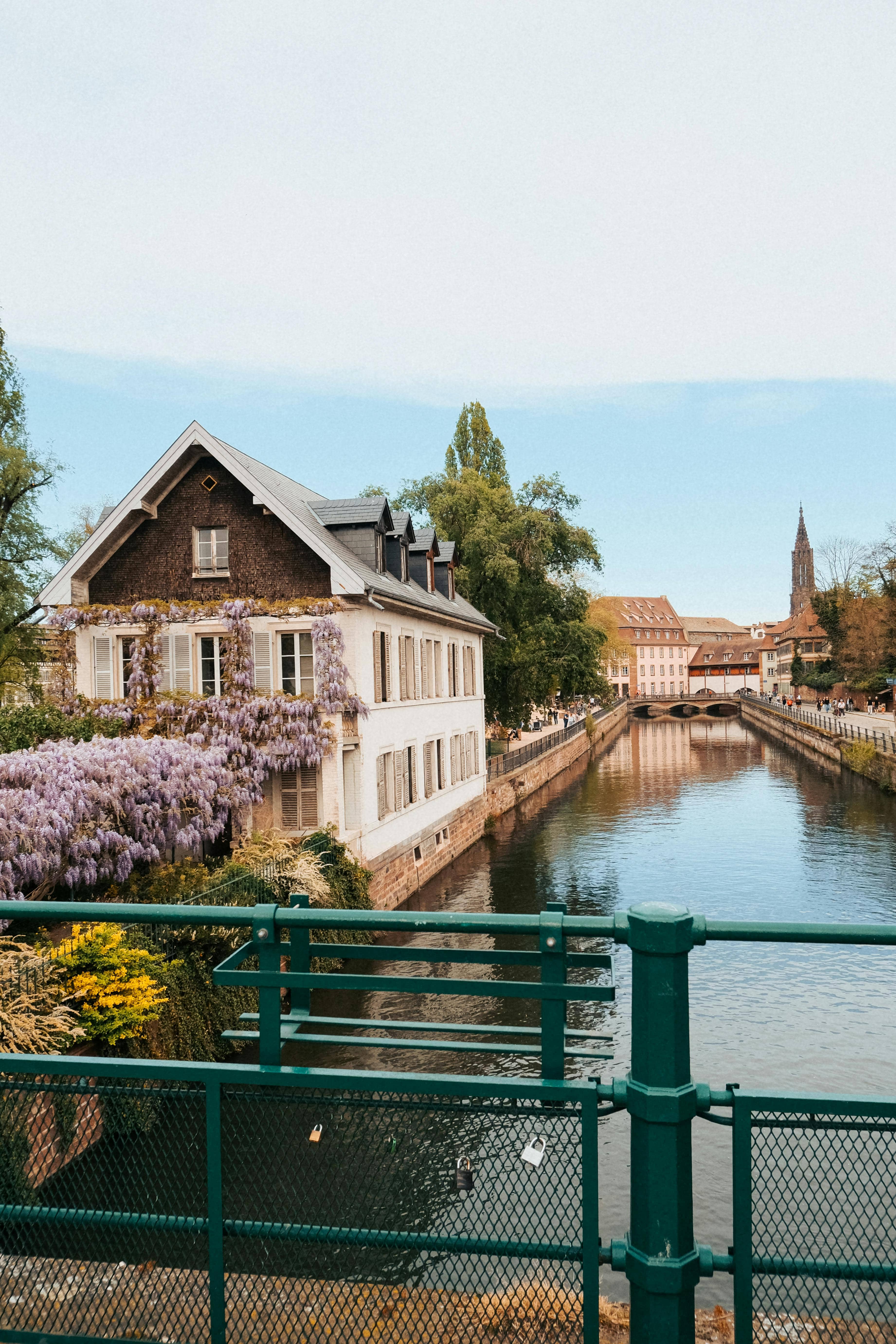 Wisteria-Covered House