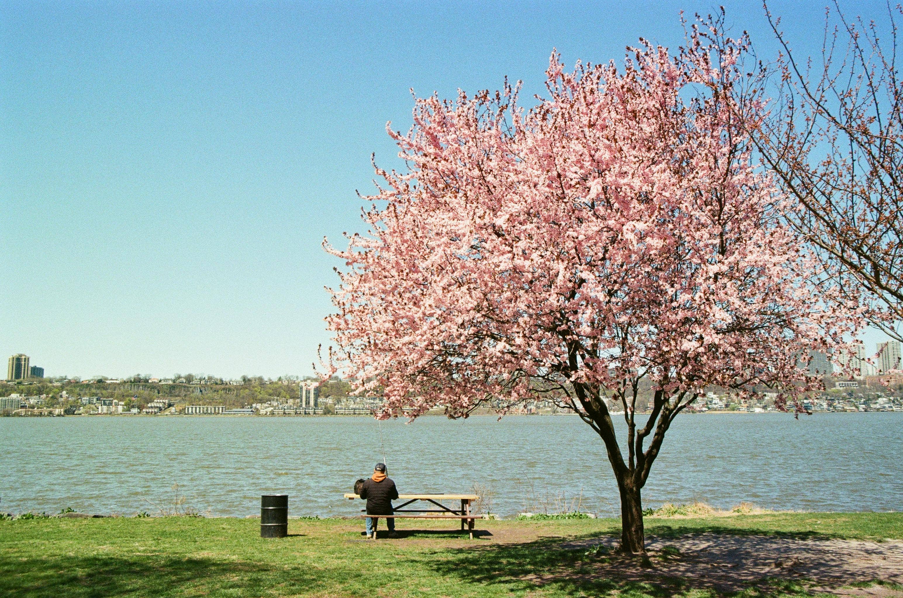 Amarante's Riverside Parks