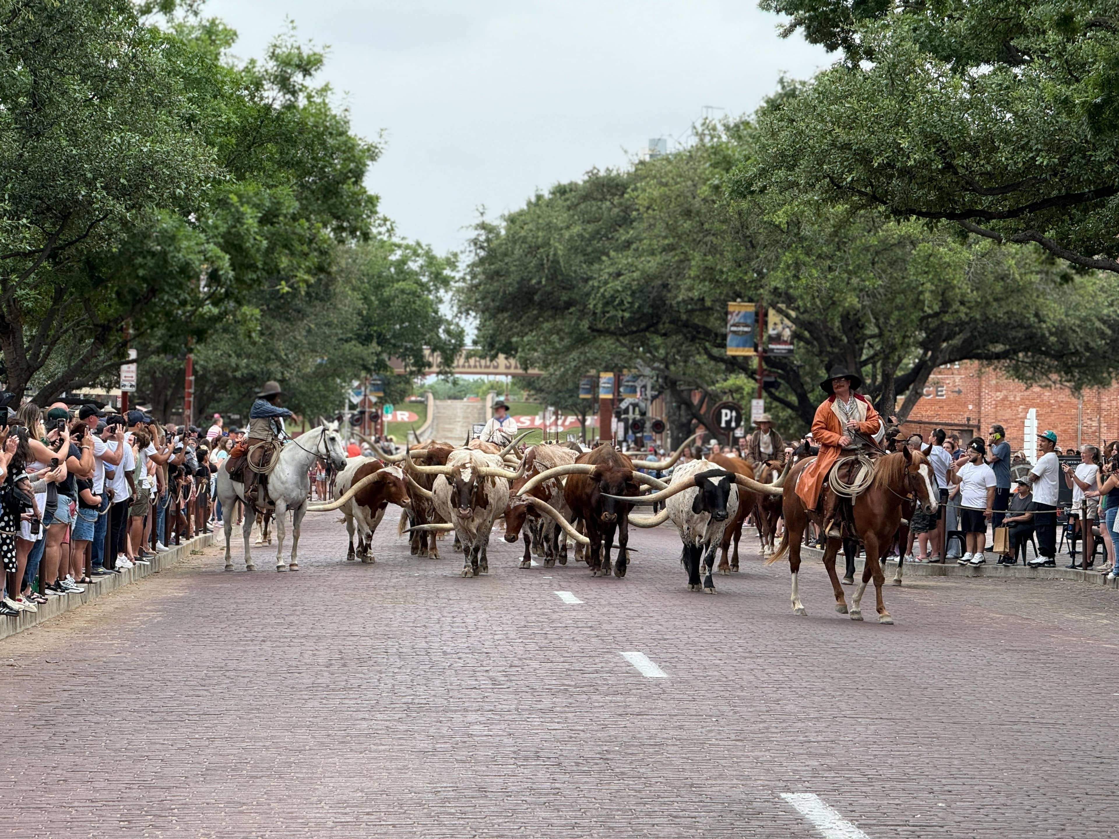 Fort Worth Stockyards Atmosphere