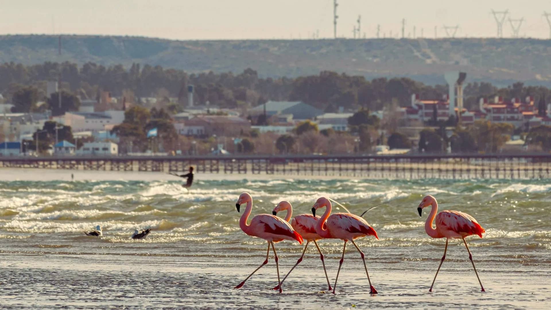 Puerto Madryn Seaport