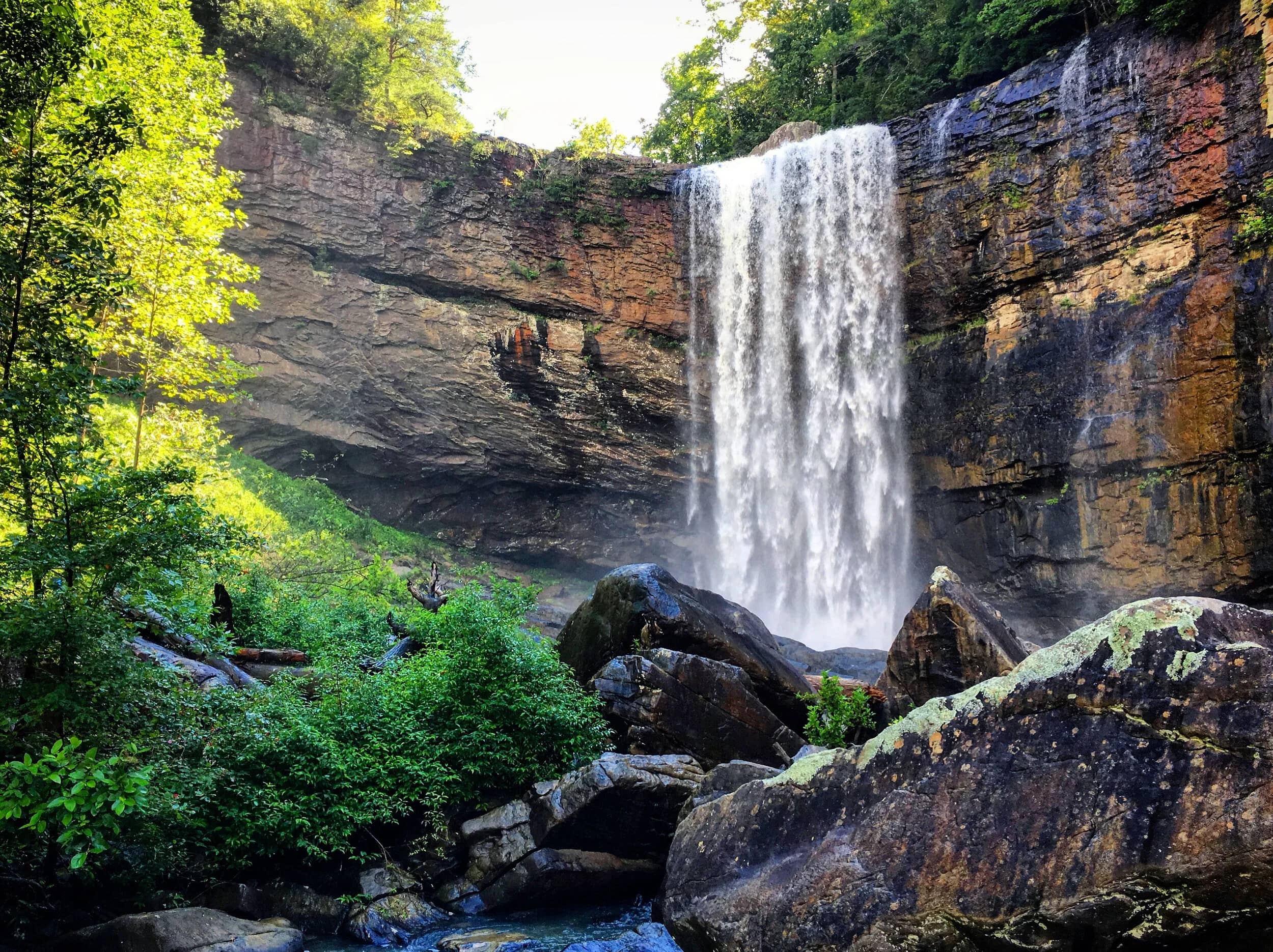 Lula Lake Land Trust