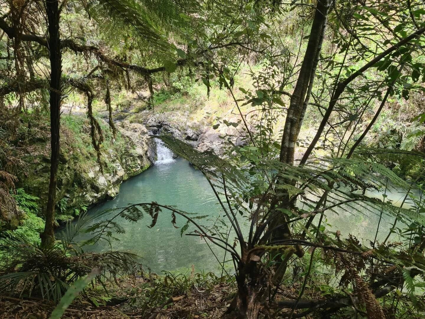 Cossey-Massey Loop Track