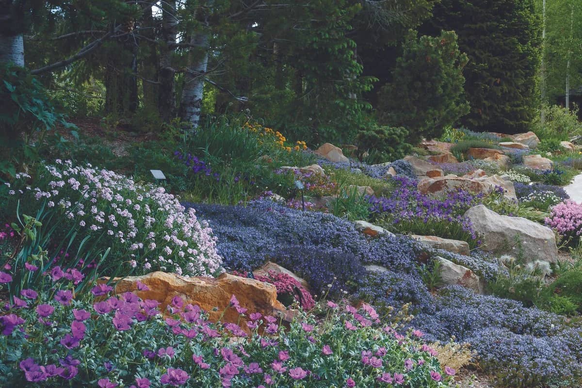 Perennial Gardens