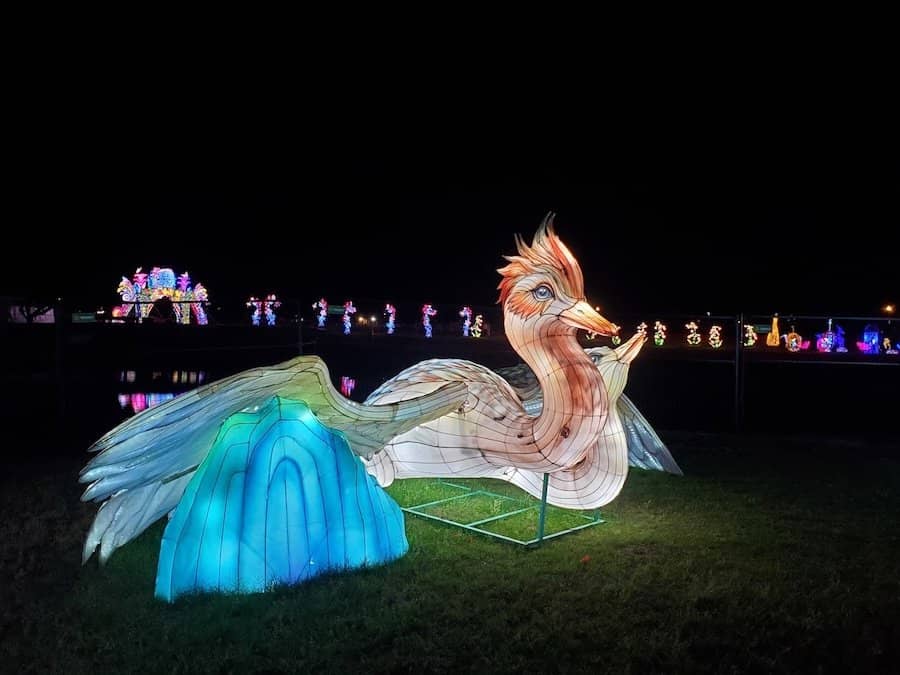 Seasonal Lantern Festivals