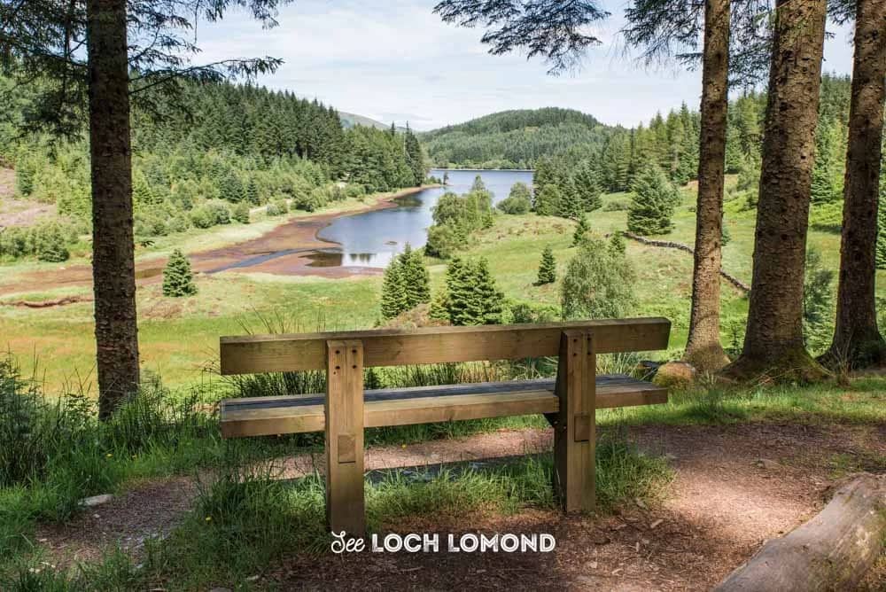 Three Lochs Forest Drive