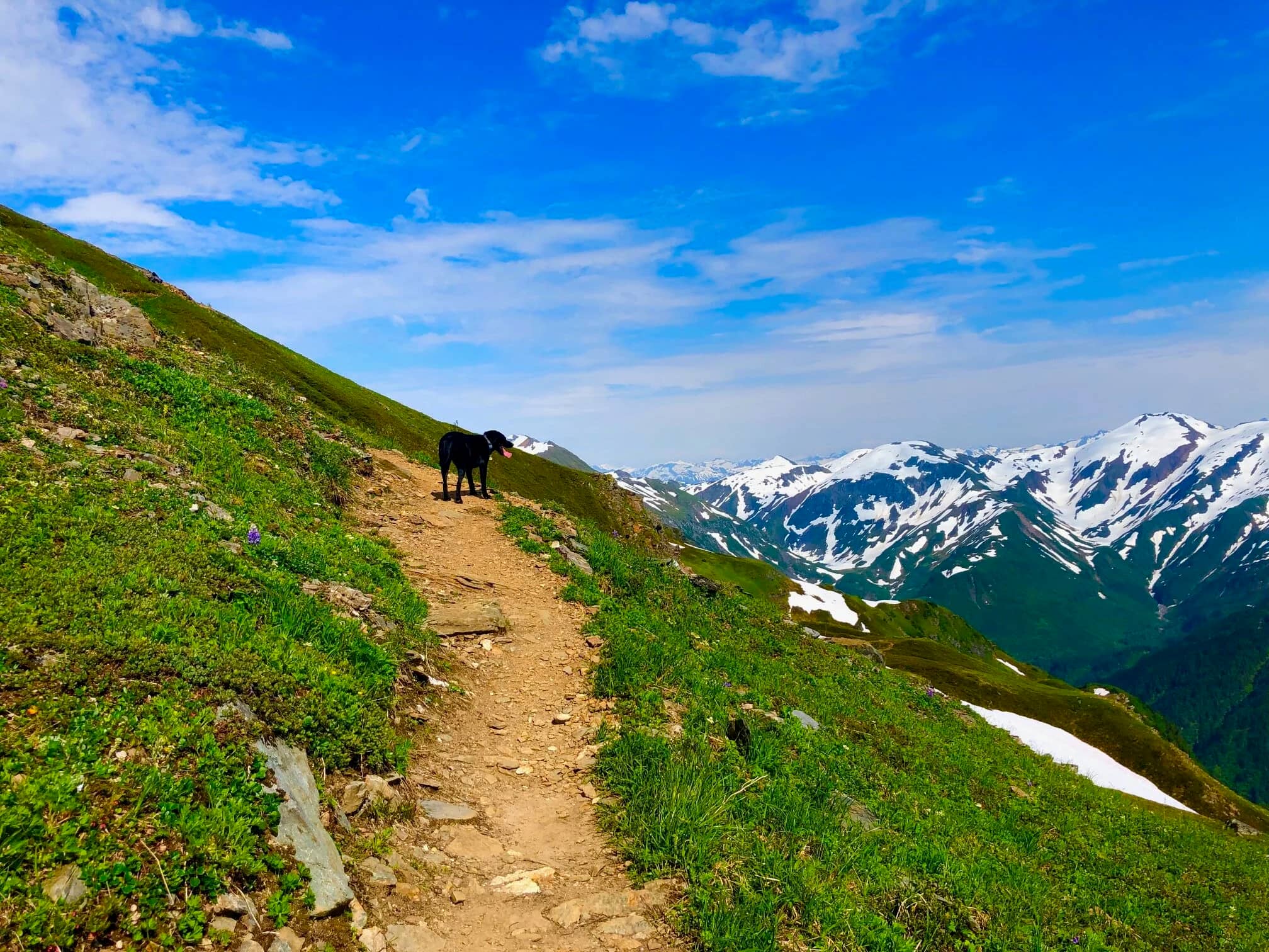 Alaskan Ridge Trail