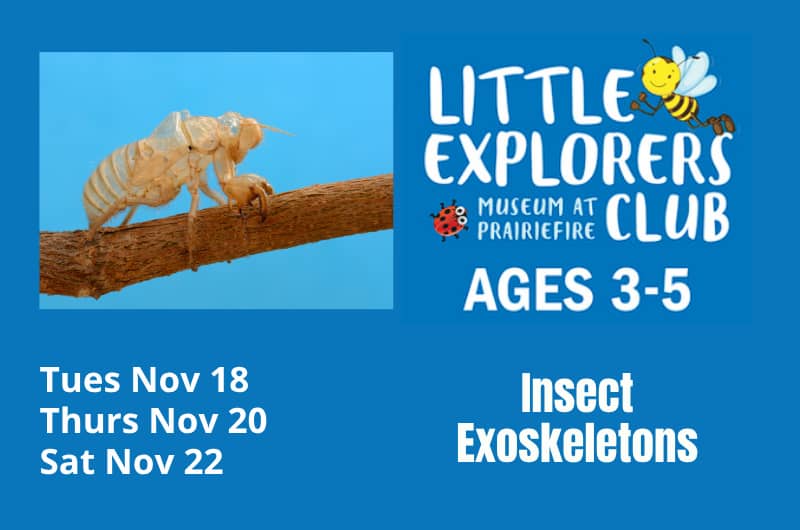 Critter & Insect Exhibits