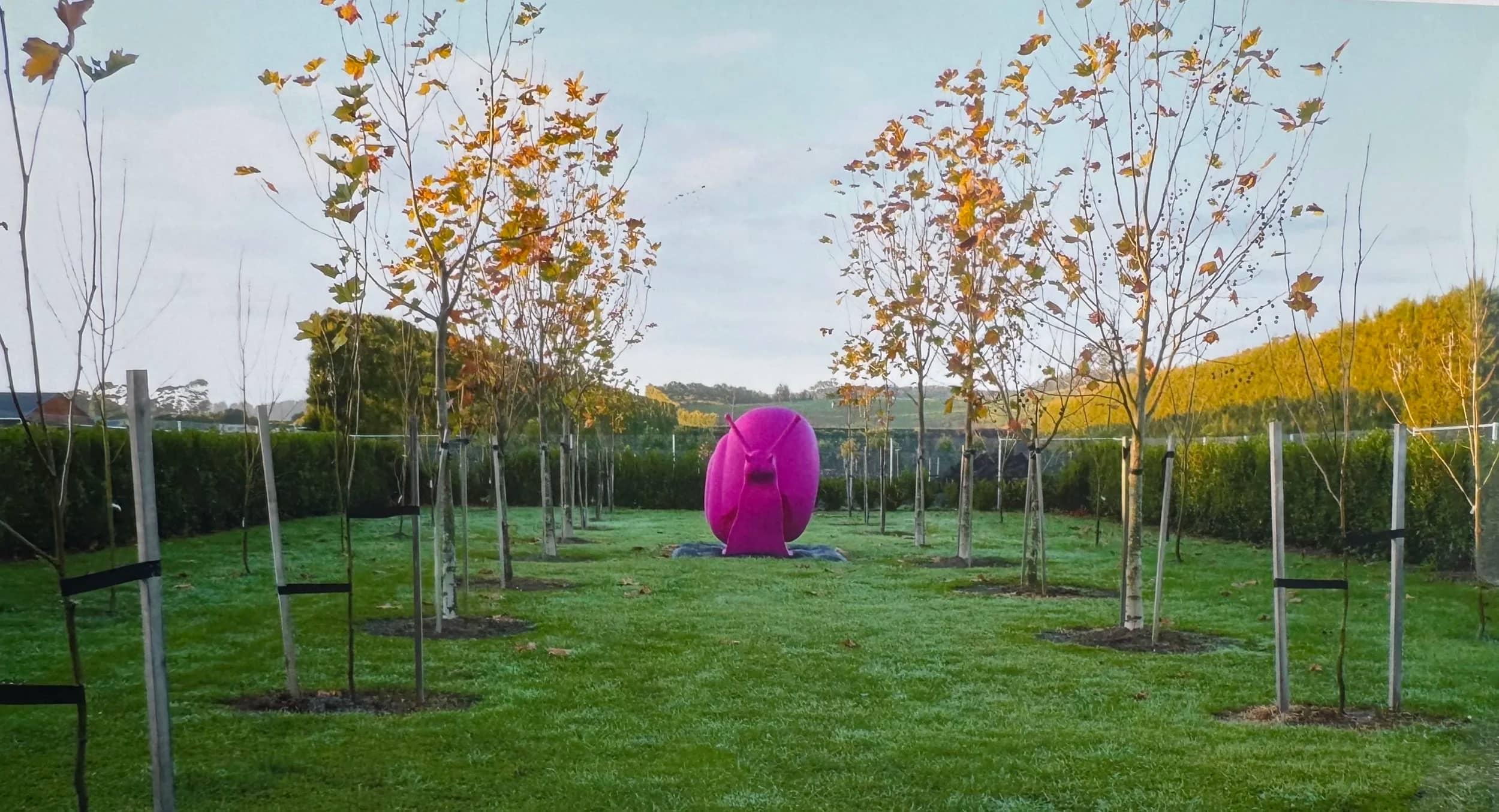 Mirror and Reflection Installations