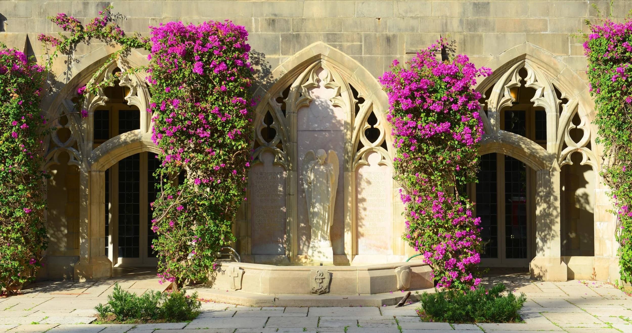 Tranquil Courtyard