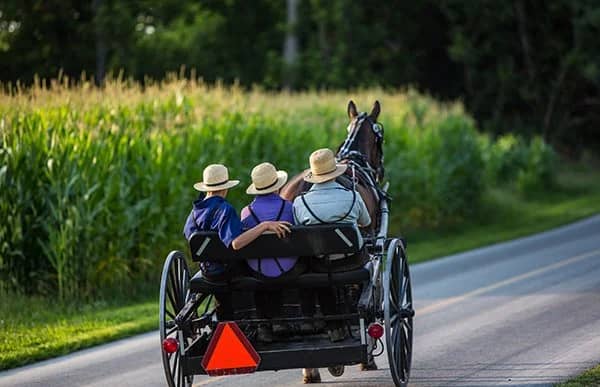 Countryside Bus Tour