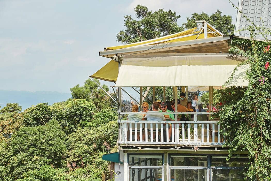 Tea Plantations & Teahouses