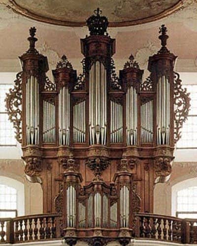 Rare Organ