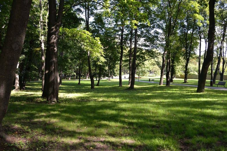 Tranquil Nature Escape