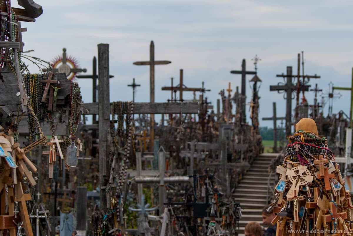 Section 14: The Untold Story