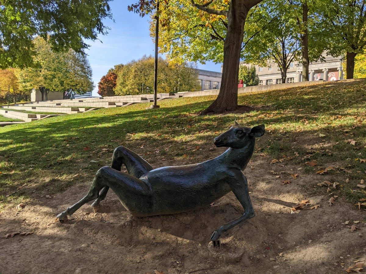 COSI Steps Paired Deer