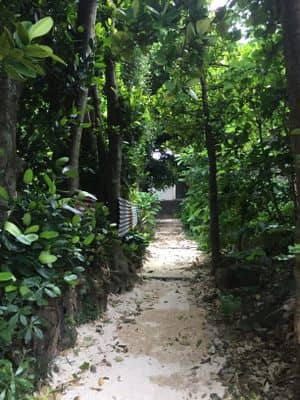 Charming Village Paths