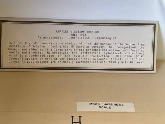 Handwritten Specimen Labels