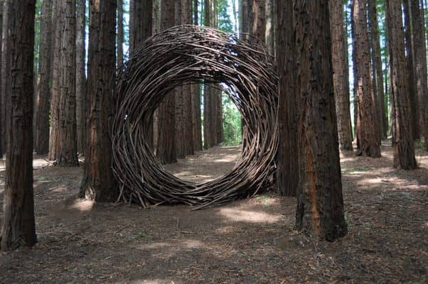 Human-Sized Nest Installation