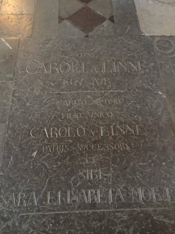 Royal and Scientific Tombs