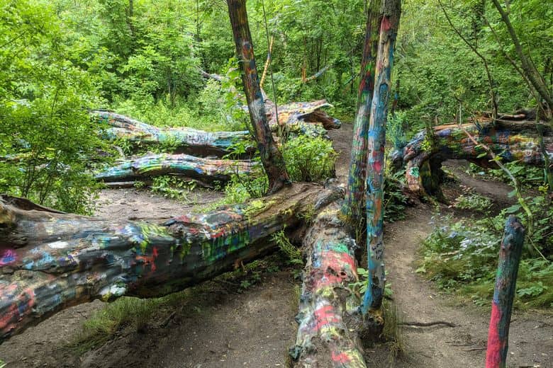 The Trail Experience