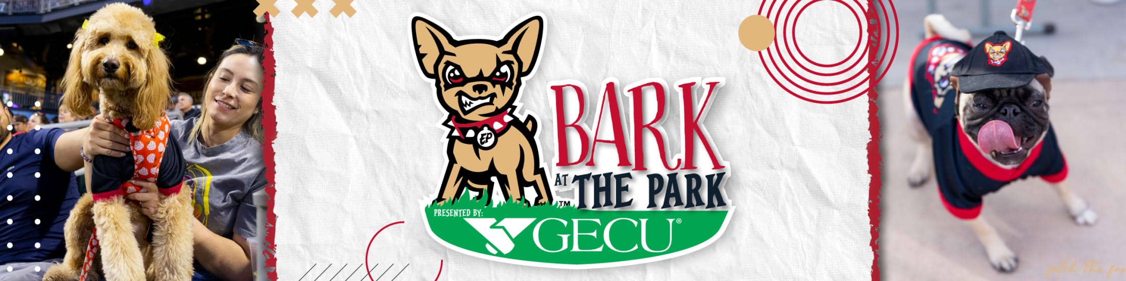 Bark at the Park