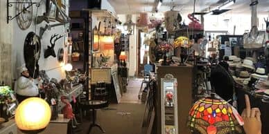 Eclectic Oddities and Antiques