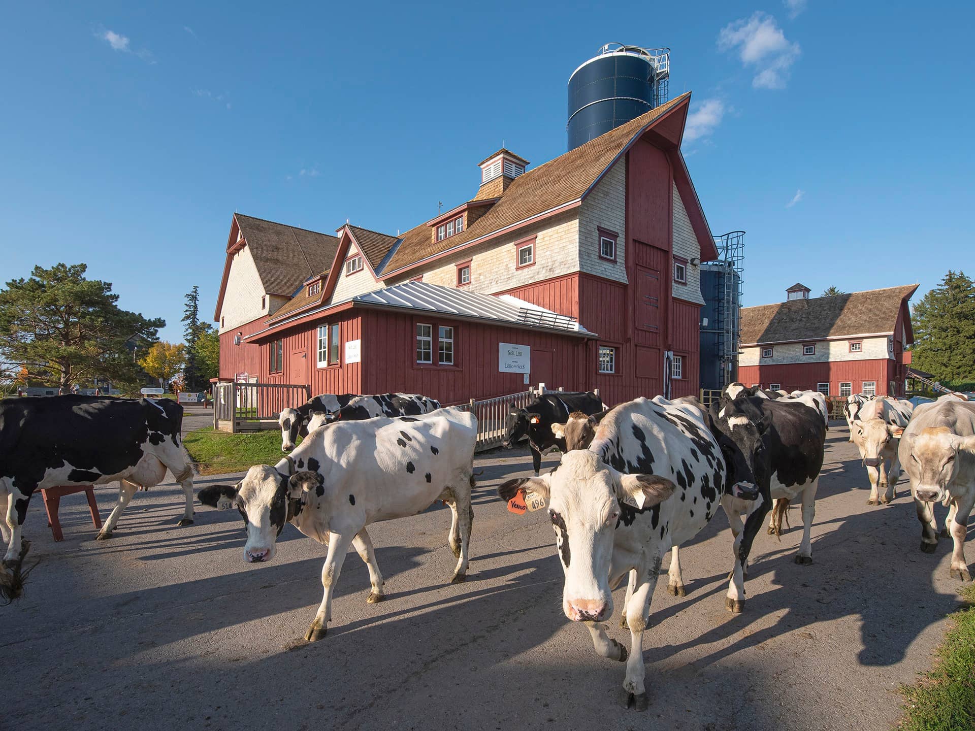 Working Farm Experience