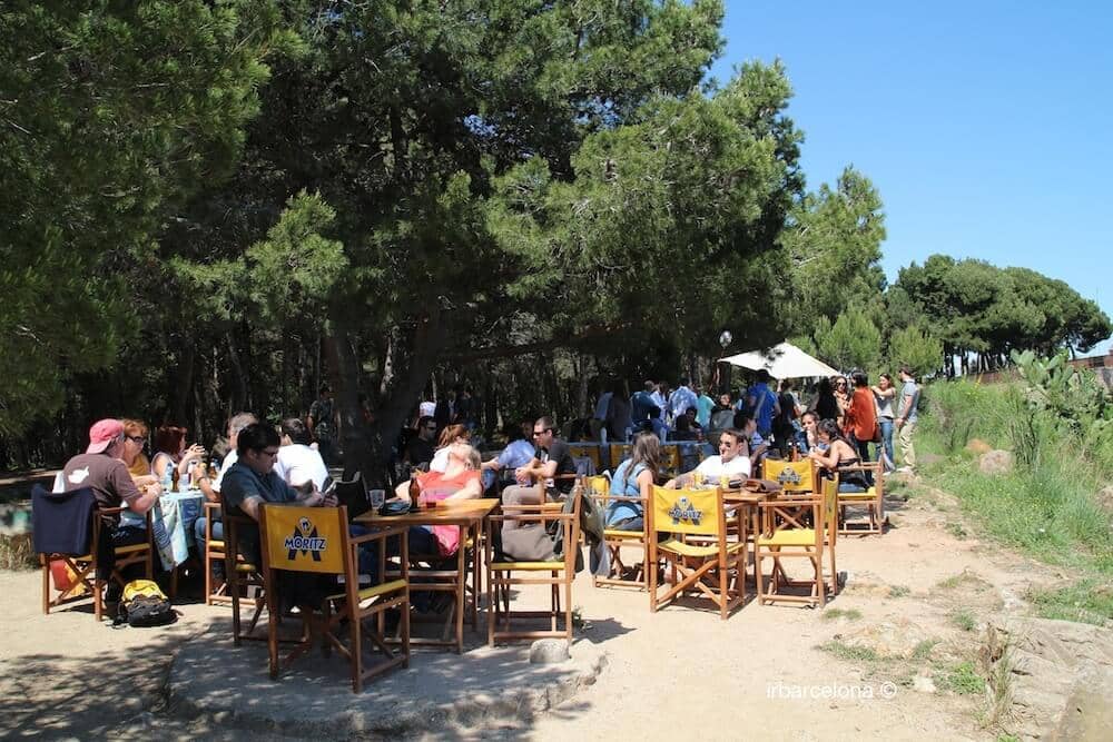 Shady Picnic Spots