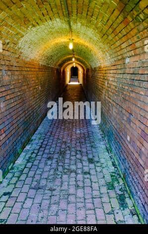Tunnels and Bunkers