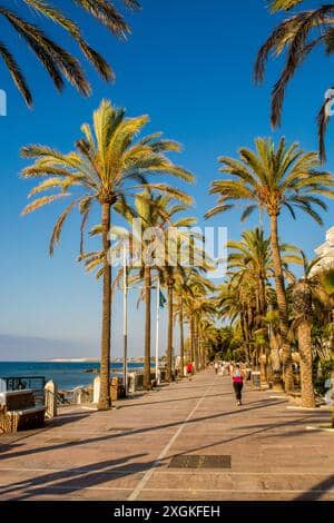 Beachfront Promenade